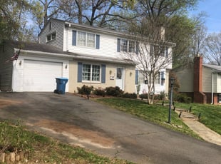 Leaf Removal by Jose M Rodriguez for Andria K. in Alexandria, VA