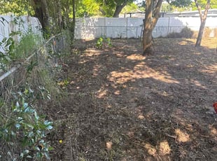 Leaf Removal by Ben Handy for Geoffrey S. in Orlando, FL