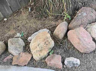 Cleanups by Lindsey Barone for Joaquin C. in Colorado Springs, CO