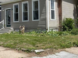 Bush Trimming by Anthony Kellogg for Laurie K. in Omaha, NE