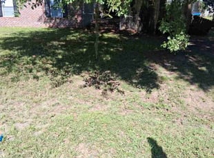 Leaf Removal by Greg Moses for Stecy B. in Beaufort, SC