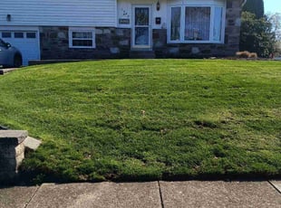 Wendy L.'s Lawn Service service result