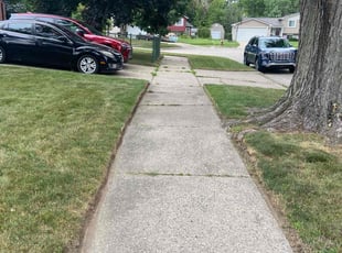 Cleanups by Ricardo Binyard Jr for Melba R. in Sterling Heights, MI