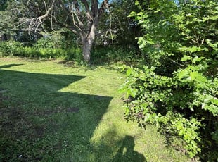 Cleanups by Darron Cotton for Esther O. in Overland Park, KS