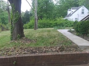 Cleanups by Terrence Hawkins for Christopher W. in Fort Washington, MD