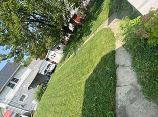 Lulu m.'s Lawn Mowing Service service result