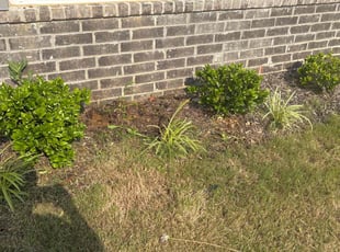 Cleanups by Kevin Glenn for Jasmine C. in Southaven, MS