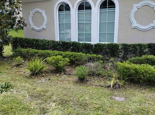 Bush Trimming by Willie Carmichael Jr for Sandra L. in Apopka, FL
