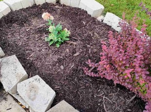 Mulching by Philip Heinz for Alisha F. in Forney, TX