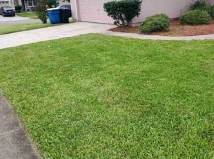 Saurabh B.'s Yard Cutting service result