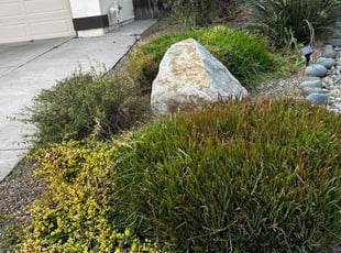 Bush Trimming by Earl Miller for Danny V. in San Diego, CA