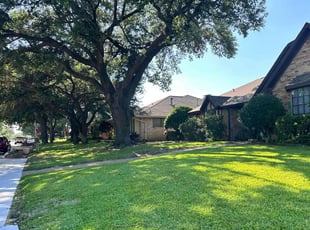 Randall M.'s Grass Cutting service result