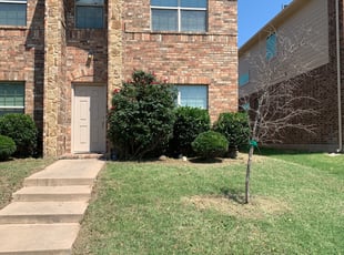 Bush Trimming by Michael Workman for Steven P. in Royse City, TX