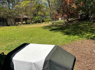 Niecy B.'s Lawn Service service result