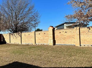 Leaf Removal by Juan Garcia for Erin B. in Frisco, TX