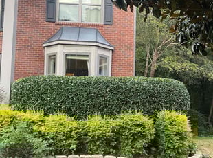 Bush Trimming by Marc Dewberry for Jana H. in Acworth, GA