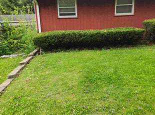 Bush Trimming by Howard Breunig for Zakiyyah S. in Madison, WI