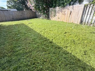 Cleanups by Vinnie Vazquez for Freddy M. in Orlando, FL