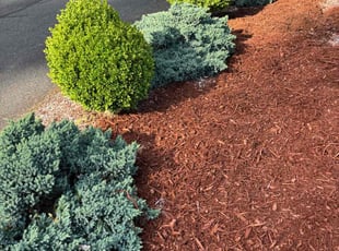 Mulching by John Faccone for Susie G. in Buckley, WA