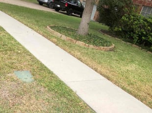 Weeding by Simon Diamond for Lawrence H. in Coppell, TX
