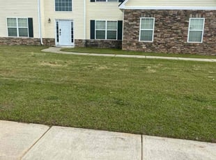 Vera C.'s Lawn Service service result