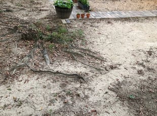Leaf Removal by Marlo Dickens for Katherine B. in Tallahassee, FL