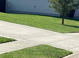 Anthony J.'s Lawn Maintenance service result