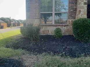 Bush Trimming by Bradley Rearden for Samantha F. in Red Oak, TX
