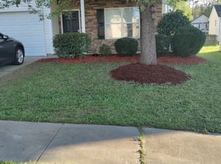 Mulching by Michael Cherry for Tyler J. in Charlotte, NC