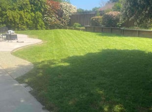 Rochelle S.'s Lawn Mowing Service service result