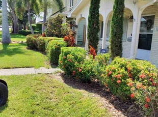 Bush Trimming by Stephen Peffly for Jessica B. in Saint Petersburg, FL