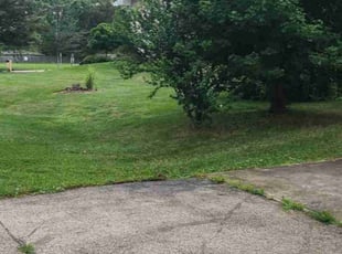 Star L.'s Lawn Mowing Service service result