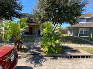 Bush Trimming by Mark Terry for Sarah A. in Pasadena, TX