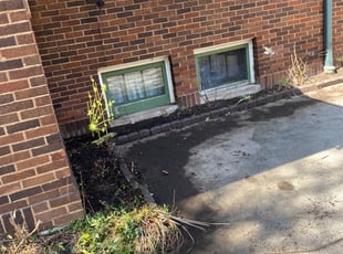 Cleanups by Tares Mickey for Roseann R. in Shorewood, WI