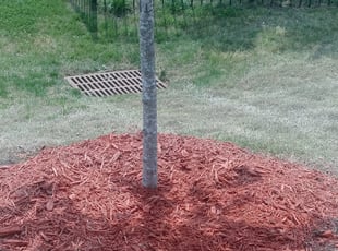 Cleanups by Cassandra Blackson for Lori G. in Huntersville, NC