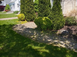 Bush Trimming by Darnell Stribling for Lana D. in Euclid, OH