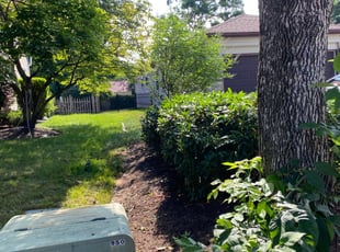 Bush Trimming by Quoc Cao for Tracie M. in Cherry Hill, NJ