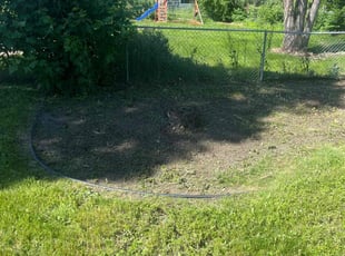 Weeding by Seandell Carter Sr for Mose C. in Minneapolis, MN