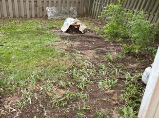 Cleanups by Kenneth Lagger for Chad F. in Toledo, OH