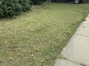 Bush Trimming by Lauren King for Preston T. in Haysville, KS