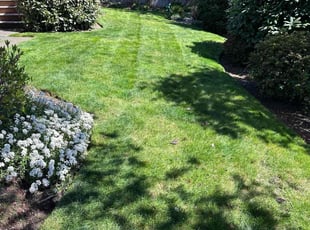 Janice Q.'s Lawn Mowing service result