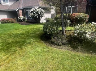 Christine G.'s Lawn Mowing service result