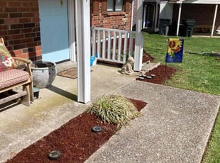 Weeding by Joel Laumas for April T. in Lexington, KY
