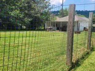 Charles F.'s Lawn Care service result