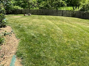 Druex J.'s Lawn Mowing service result