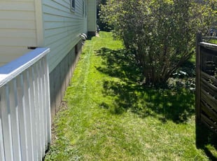 Dahmane G.'s Lawn Service service result