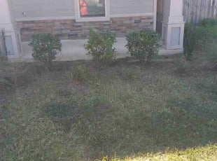 Bush Trimming by Priscilla Way for Andrew A. in Navarre, FL