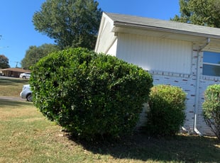 Bush Trimming by Montazis Byers for Melinda l. in Gastonia, NC
