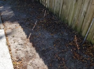 Weeding by Alberto Rivera for Giuliana A. in Orlando, FL