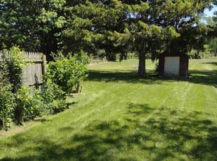 Luis E.'s Lawn Care service result